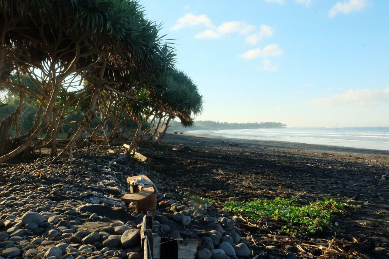 The Nyamo Surf & Stay Pulukan Bagian luar foto