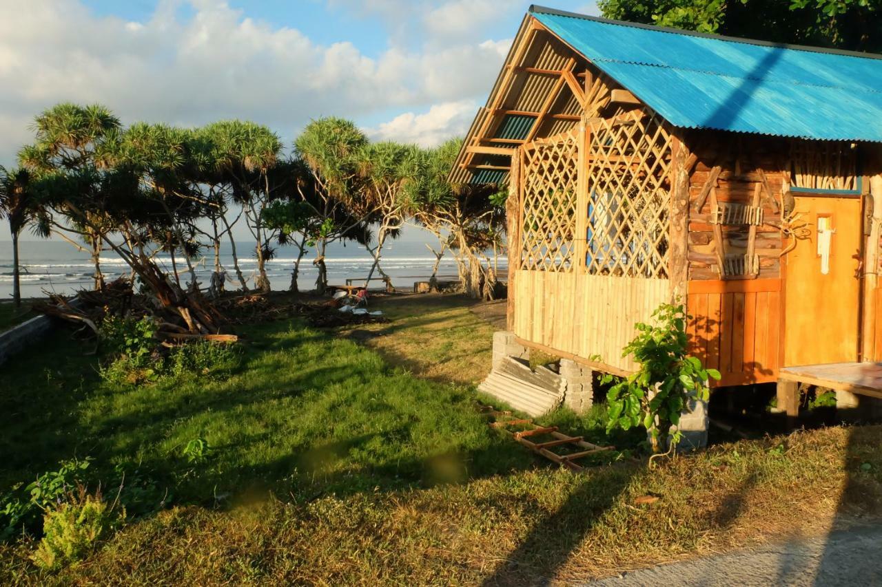 The Nyamo Surf & Stay Pulukan Bagian luar foto
