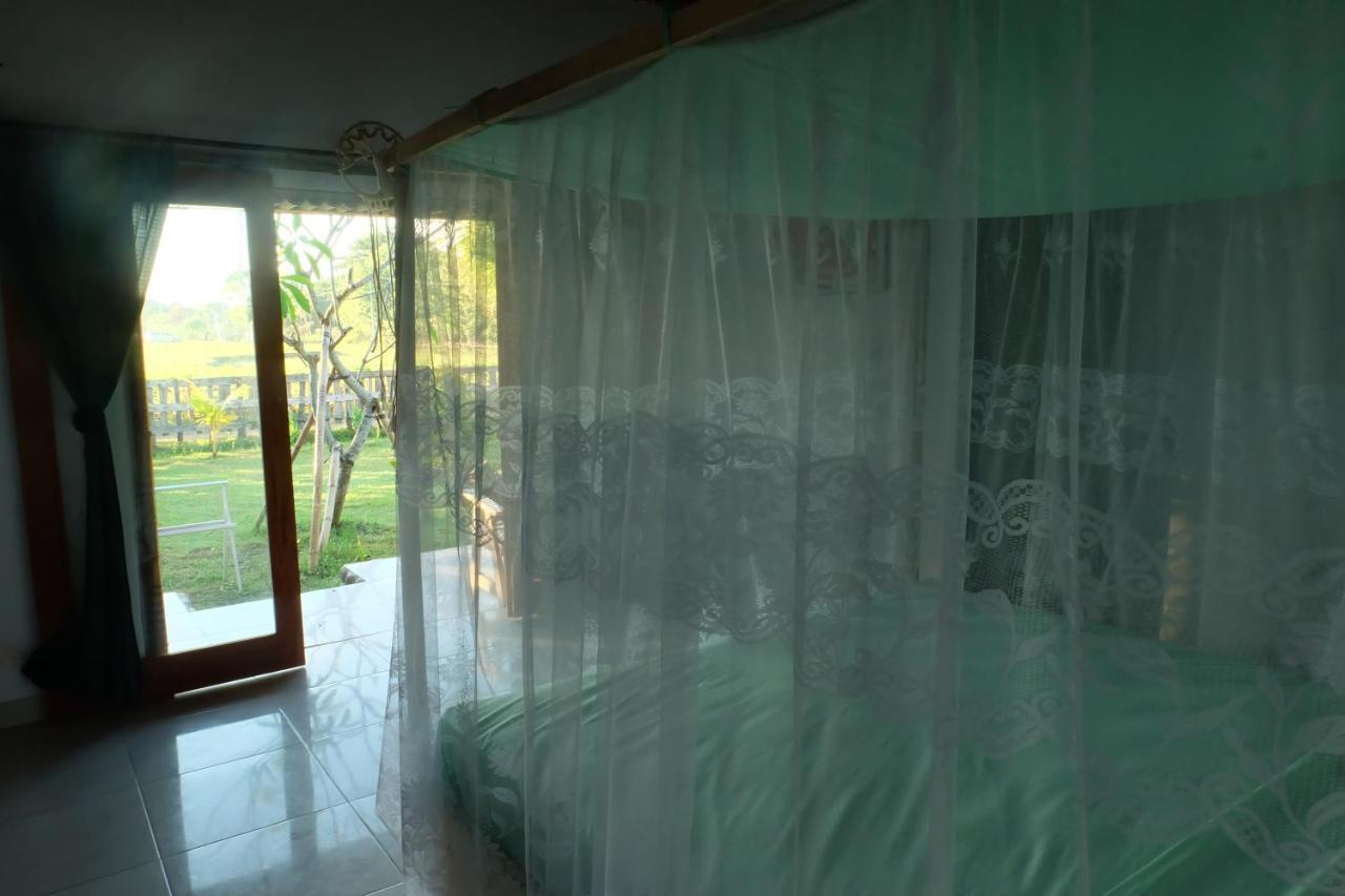 The Nyamo Surf & Stay Pulukan Bagian luar foto