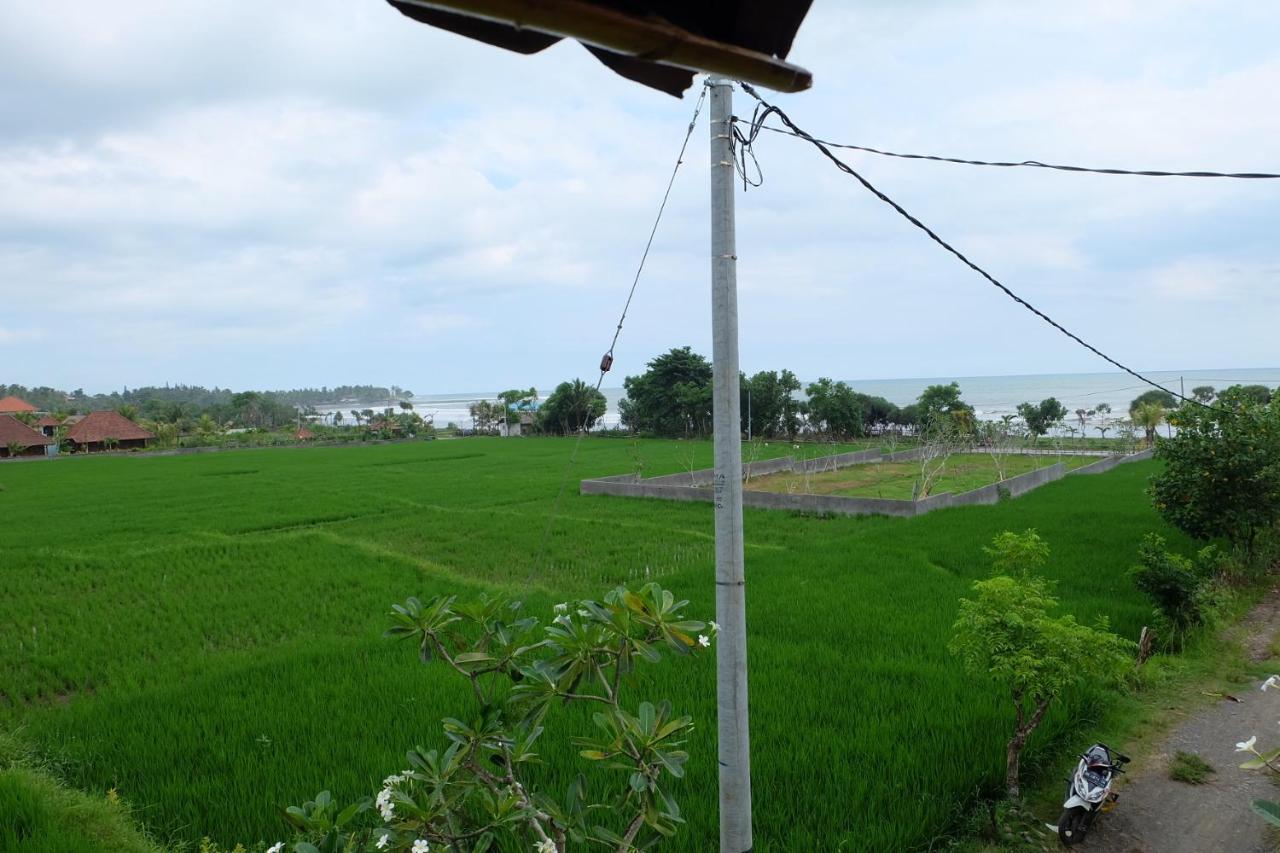 The Nyamo Surf & Stay Pulukan Bagian luar foto