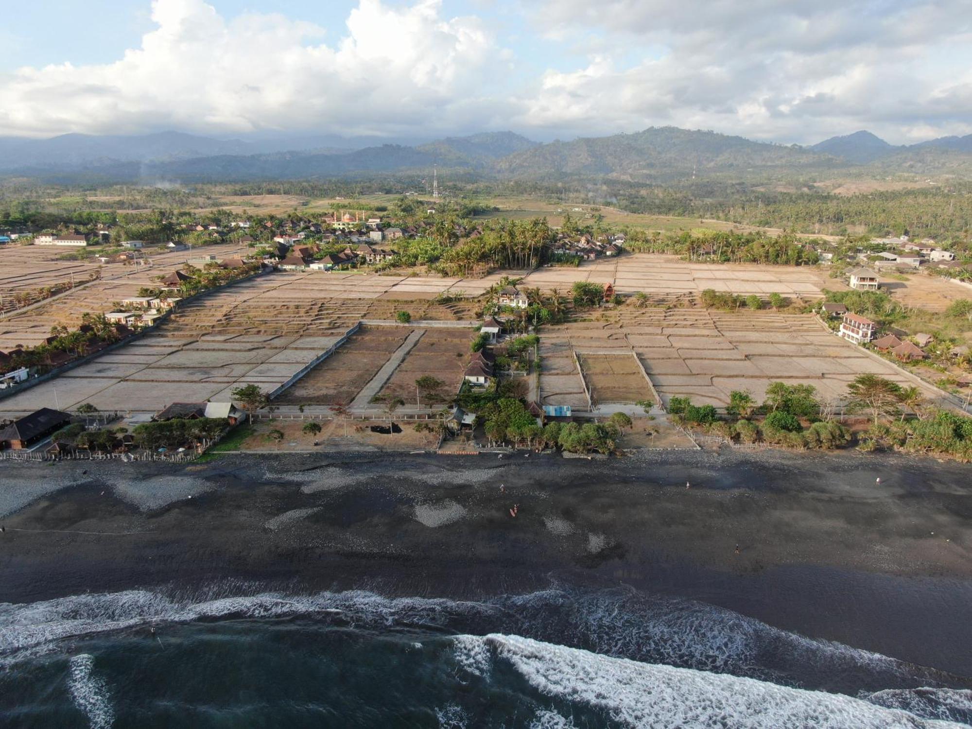 The Nyamo Surf & Stay Pulukan Bagian luar foto